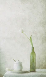 Nature morte aux tulipes blanches