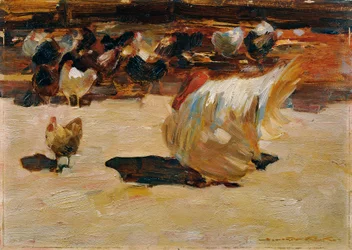 Cour de poules