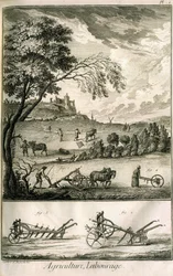 Travail des champs - Agriculture, semis, labourage. Divers modèles de rouleaux et charrues : Planche d
