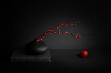 Nature morte aux baies rouges et vase noir