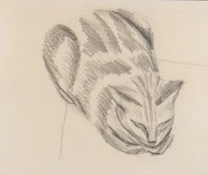Chat endormi
