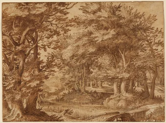 Paysage forestier avec un château lointain