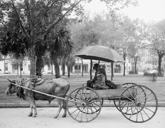 Bovinmobile à Savannah, Géorgie