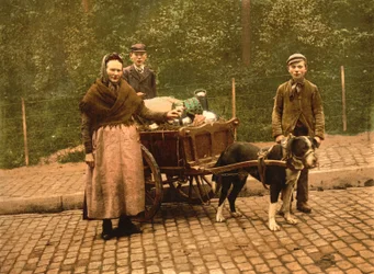 Vendeurs de lait, Bruxelles, Belgique