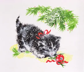 Chaton de Noël