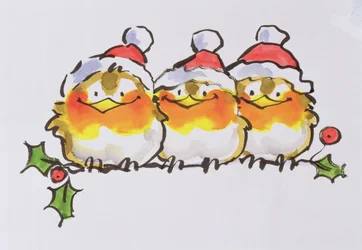 Rouges-gorges de Noël