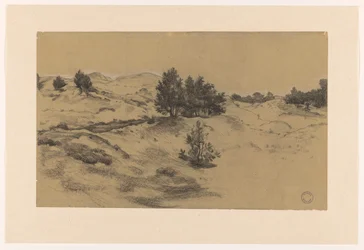 Paysage de dunes