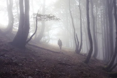 Chemin de Roncevaux avec un pèlerin, 2016 (photographie numérique)