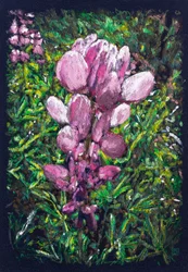 Lupin hispanique près de La Calzada de Bejar, 2025 (acrylique et crayon sur tissu)