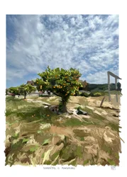 Oranges ou mandarines, 2022 (œuvre d