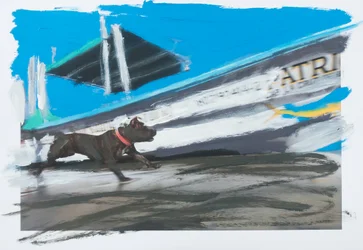 Perro en Sayulita, 2019 (peinture acrylique sur photo imprimée)