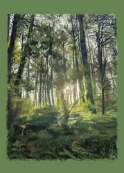 Branches et arbres rétro-éclairés, 2022 (œuvre d