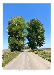 Arbres jumeaux sur la route de Golega, 2022 (œuvre d