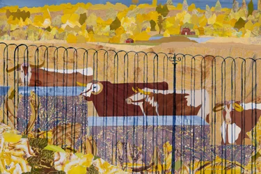 Longhorns assoiffés, été chaud (collage)