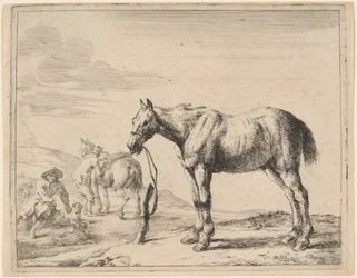 Un cheval attaché à un poteau