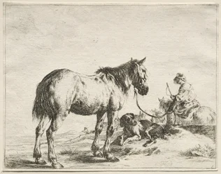 Un cheval attaché à un poteau