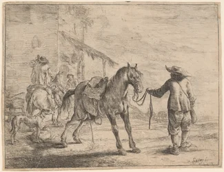 Un cheval urinant tenu par un homme