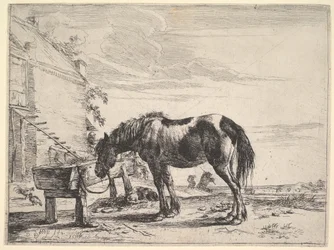 Cheval attaché à une mangeoire