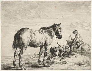 Cheval attaché à un poteau