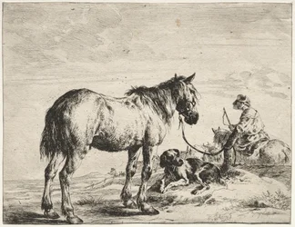 Cheval attaché à un poteau