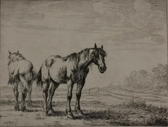 Deux chevaux de labour, planche sept de la série des chevaux