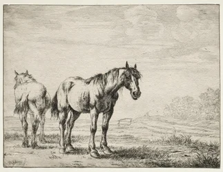 Deux chevaux de labour