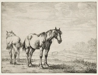 Deux Chevaux de Labour