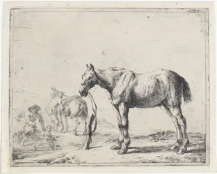 Cheval attaché à un poteau vers la gauche
