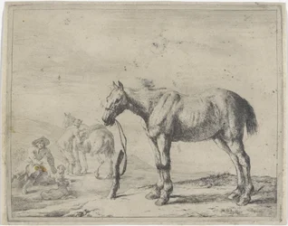 Cheval attaché à un poteau, vers la gauche