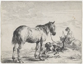 Cheval attaché à un poteau, Chevaux (titre de la série)