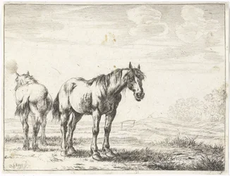 Deux chevaux dans un paysage