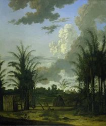 Plantation au Suriname