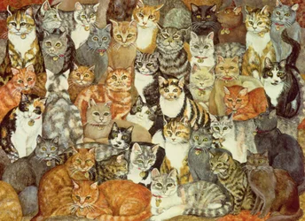 Étalage de Chats