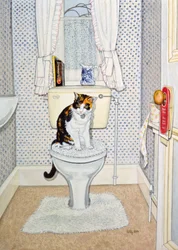 Chat sur les toilettes, 1991