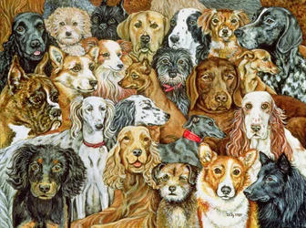 Étendue de Chiens