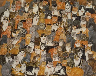 Double étalage de chats
