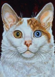 Minette