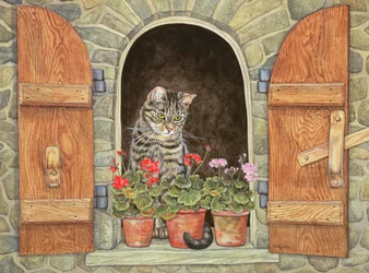 La fenêtre de Susie