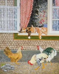 La volaille et les chatons