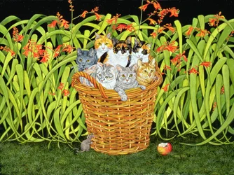 La Souris-Montbretia