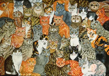 Les hiboux et les chatons