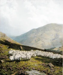 Berger et Moutons, Perthshire