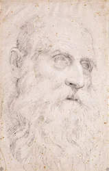 La Tête de Saint Jérôme