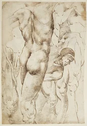 Études de jambes et de nus masculins