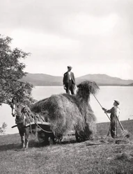 Chargement de foin sur un chariot sur les rives du Loch Lomond, Écosse