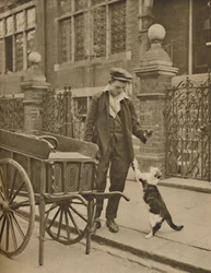 Un des métiers les mieux établis : Un client et le marchand de viande pour chats, vers 1935
