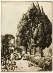 Bosquet de cyprès