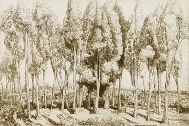 Chant de la route no. 5