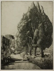Le Bosquet de cyprès