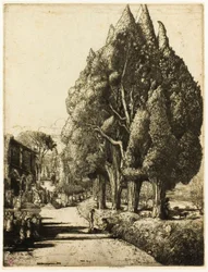 Le bosquet de cyprès